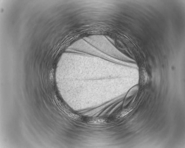X0000054460278200508270112