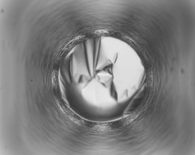 X0000054460280200508270112
