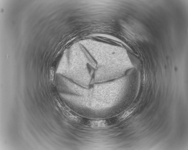 X0000054460281200508270112