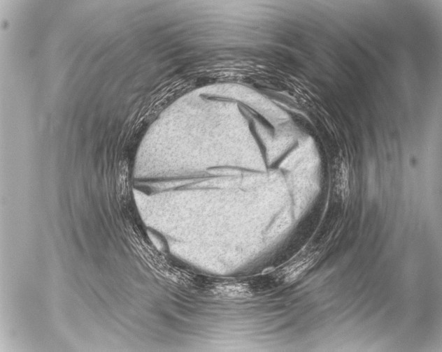 X0000054460283200508270112