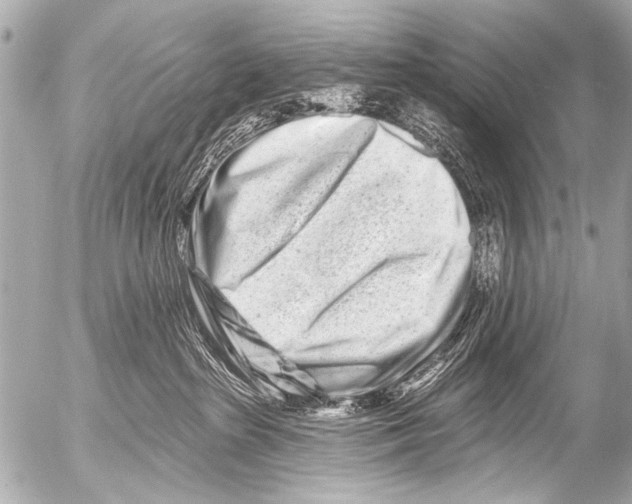 X0000054460285200508270112