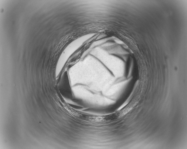X0000054460288200508270112