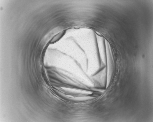 X0000054460290200508270111