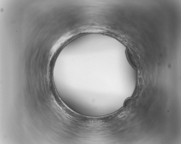 X0000054460296200508270111