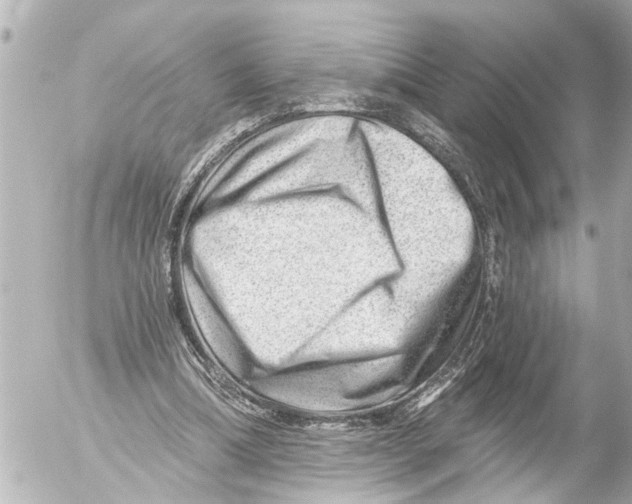 X0000054460298200508270111