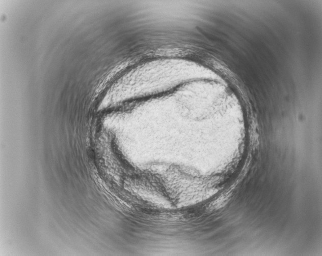 X0000054460305200508270111