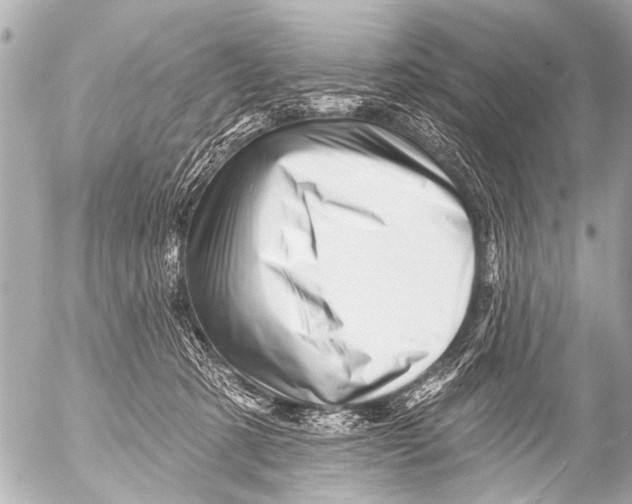 X0000054460321200508270110