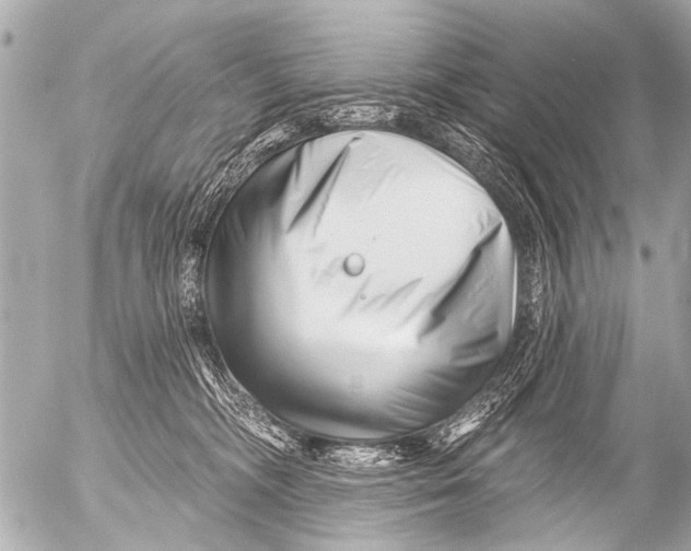 X0000054460326200508270110