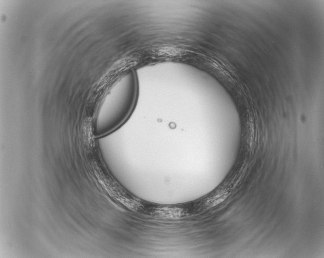 X0000054460328200508270110