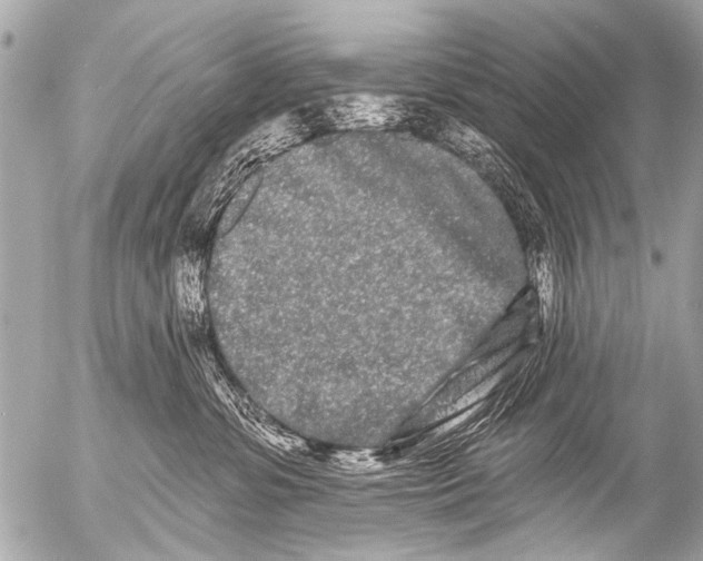 X0000054460331200508270110