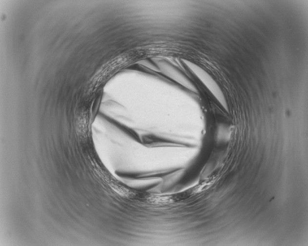 X0000054460333200508270110