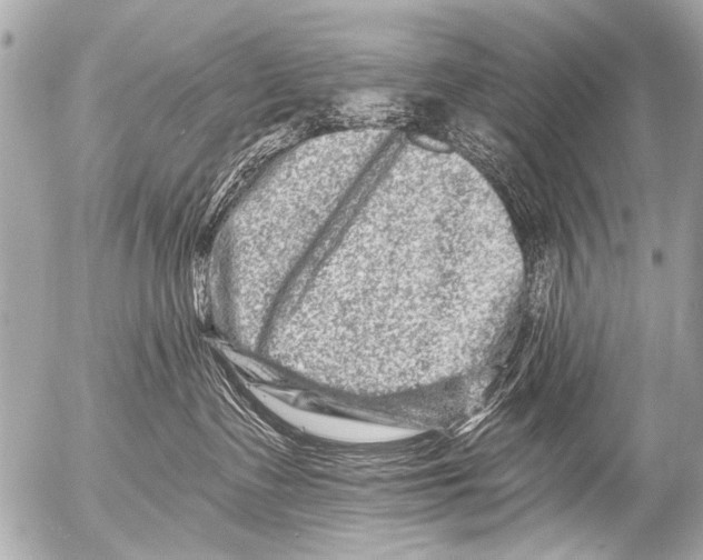 X0000054460335200508270110