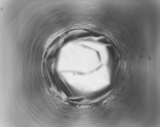 X0000054460340200508270109