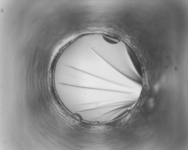 X0000054460342200508270110