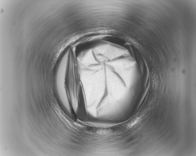 X0000054460350200508270110