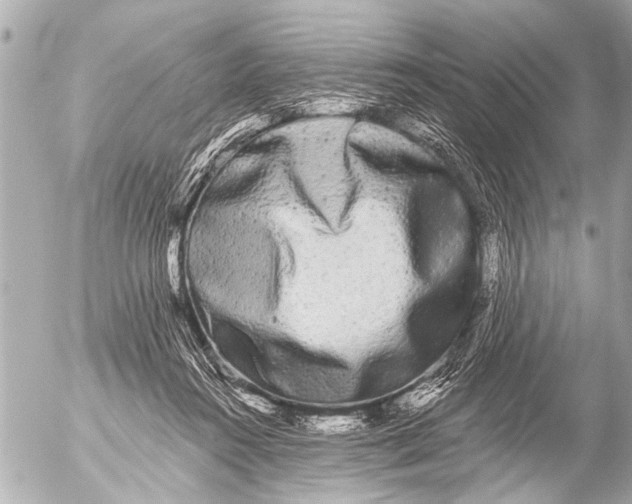 X0000054460360200508270110