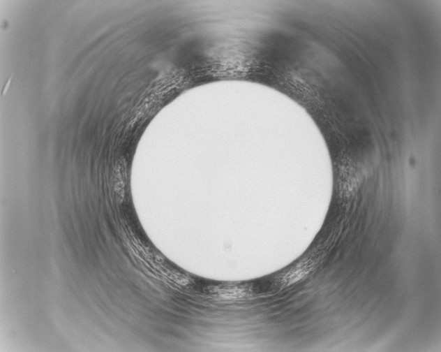 X0000054460370200508270110