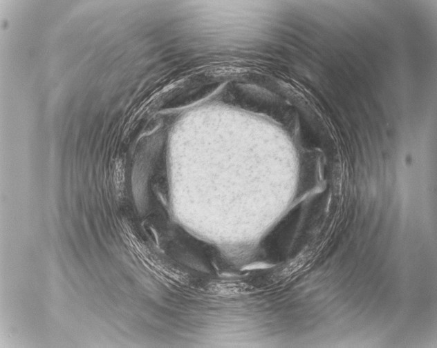 X0000054460372200508270110