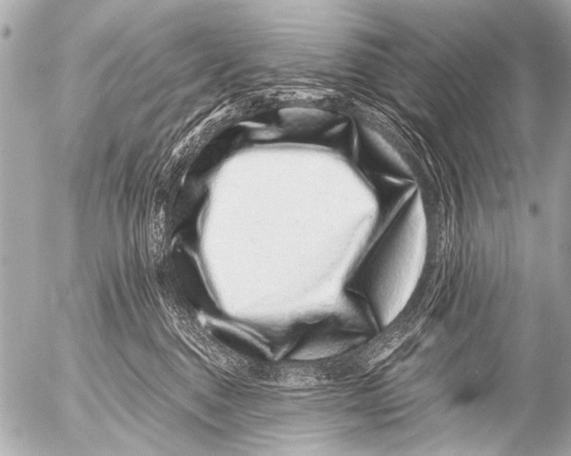X0000054460376200508270110