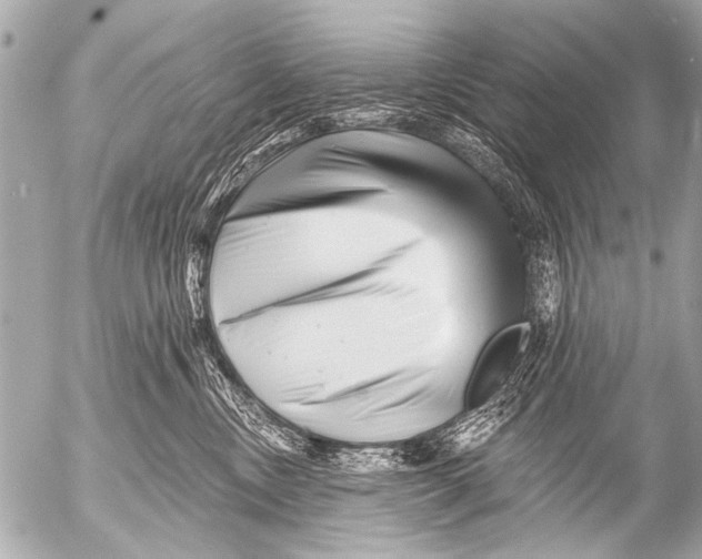 X0000054460378200508270110