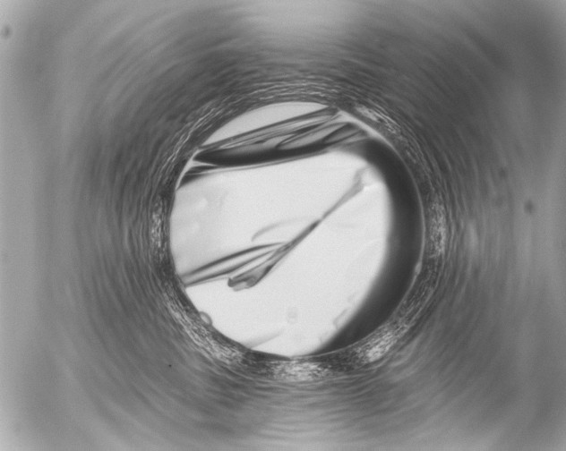 X0000054460379200508270110
