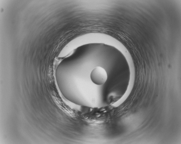 X0000054460380200508270110