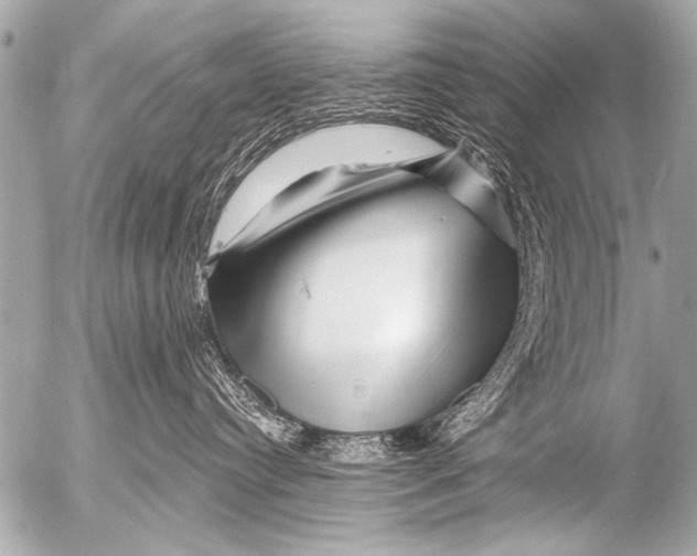 X0000054460384200508270110