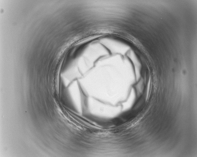 X0000054460386200508270109