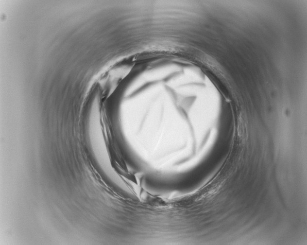 X0000054460388200508270109