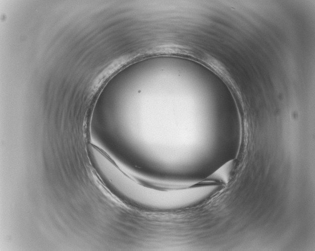 X0000054460389200508270109