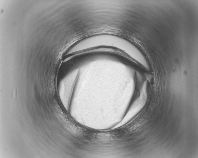 X0000054460394200508270109