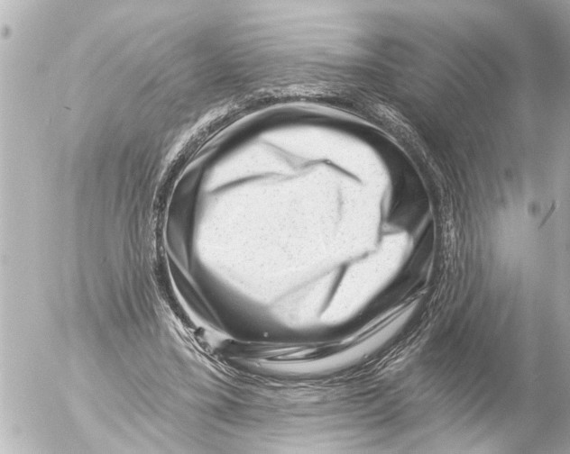 X0000054460395200508270109