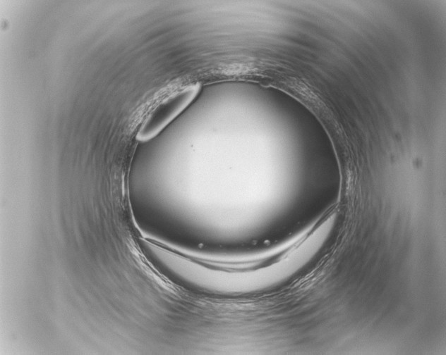 X0000054460397200508270109