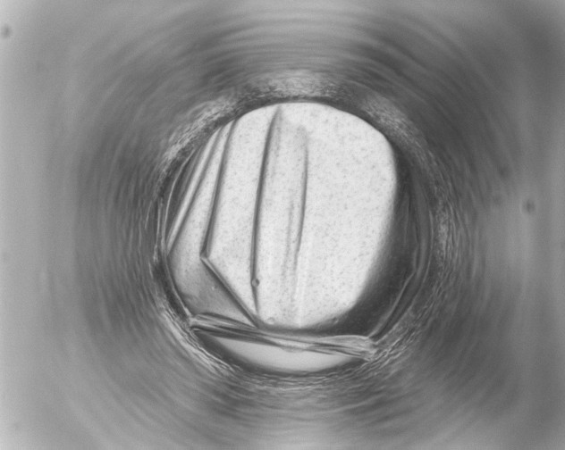 X0000054460398200508270109