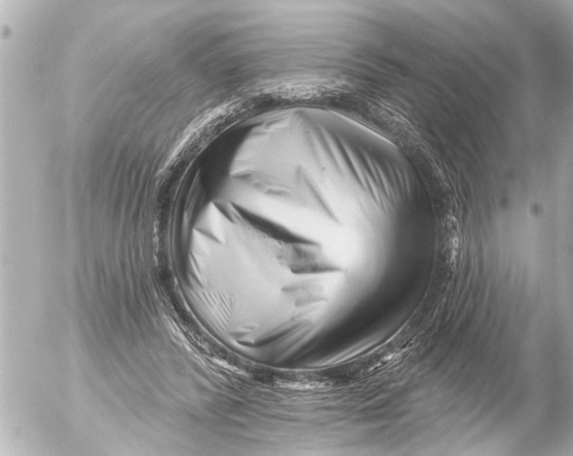 X0000054460400200508270109