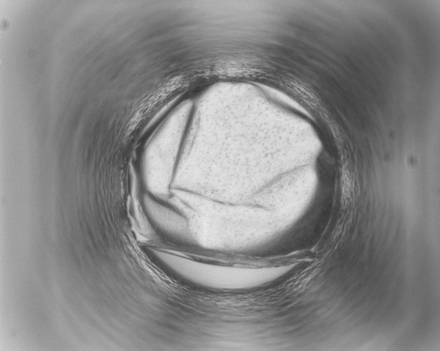 X0000054460401200508270109