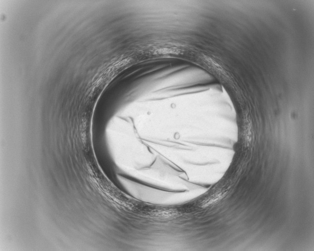 X0000054460402200508270109