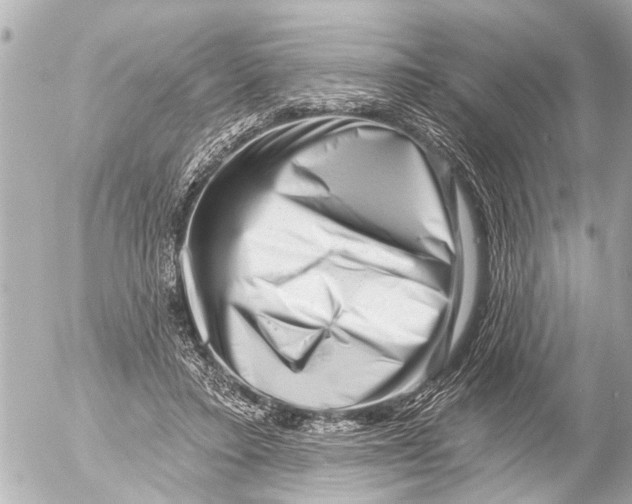 X0000054460403200508270109
