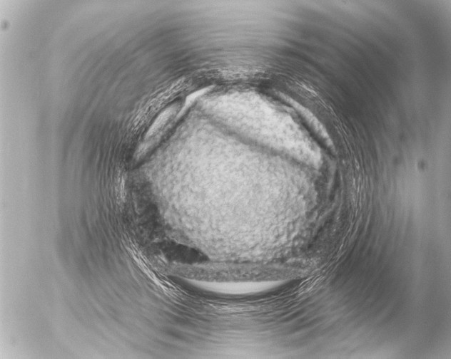 X0000054460405200508270109