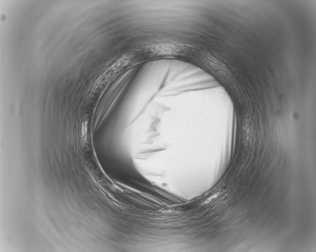 X0000054460406200508270109