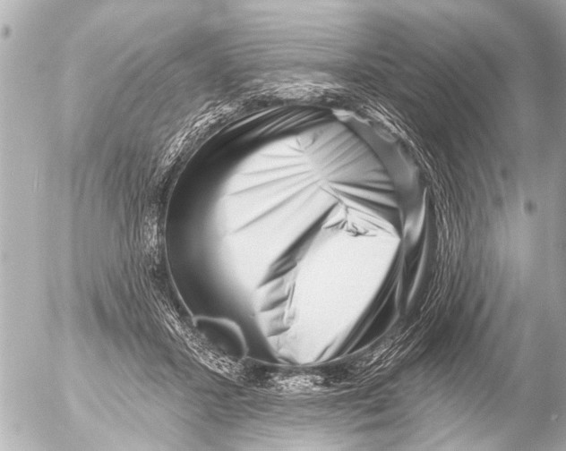 X0000054460407200508270109