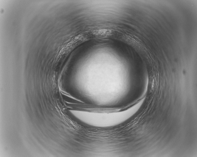 X0000054460416200508270109