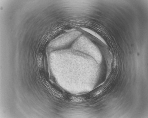 X0000054460417200508270109