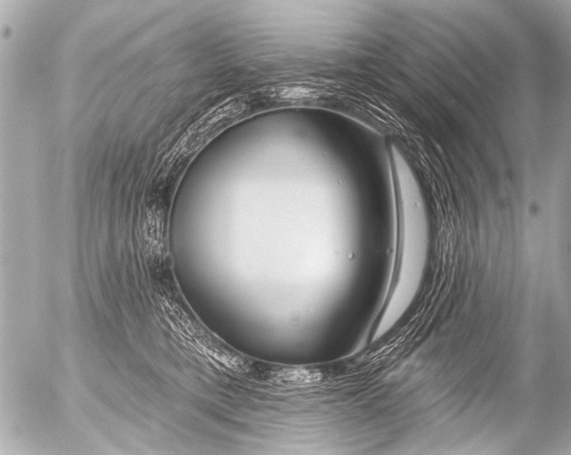 X0000054460421200508270109