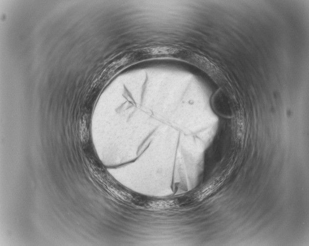 X0000054460422200508270109