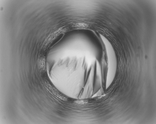X0000054460425200508270109