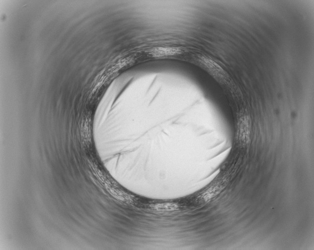 X0000054460426200508270109