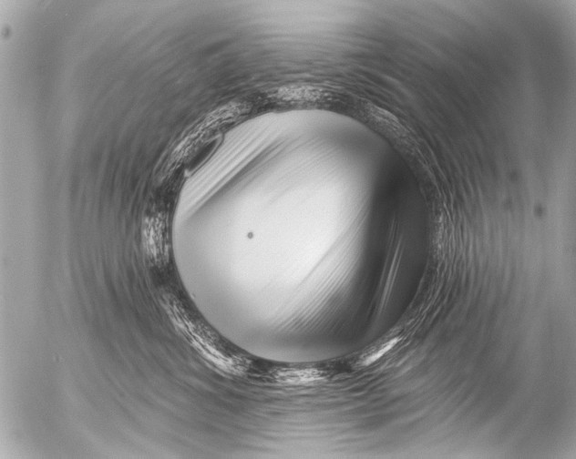 X0000054460428200508270109
