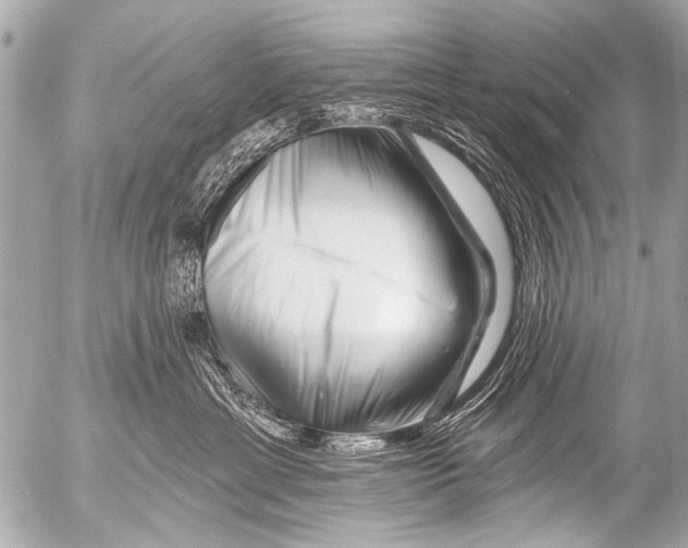 X0000054460429200508270109