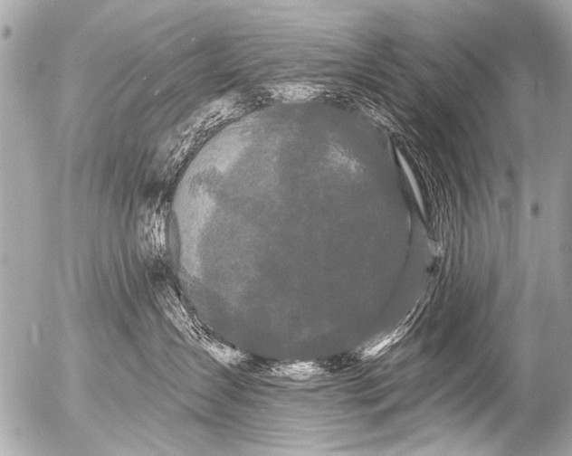 X0000054460431200508270109